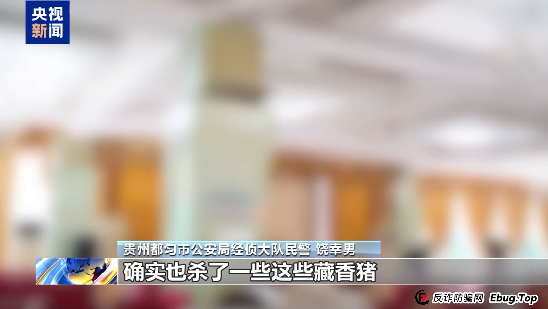 【金融普法】假养猪 真骗局 警惕披着“云养经济”外衣的非法集资